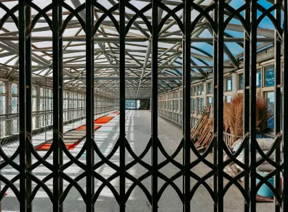 كازينو ريد كينغز تطبيق الهاتف المحمول